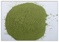 Pó verde CAS dos anti suplementos inflamatórios naturais ao extrato da casca do Bayberry 529 44 2 