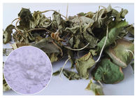 Resistência de oxidação Asiatica do pó do extrato de Centella da folha do Kola de Gotu
