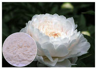 Renovando ingredientes cosméticos naturais da pele fora do pó branco de Lactiflora do Paeonia da cor