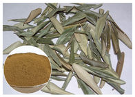 Extrato verde-oliva puro da folha de Hydroxytyrosol 20%, pó verde-oliva CAS da folha 32619 42 4