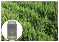Óleo essencial dos anti alecrins da oxidação para o cheiro fresco incolor das ervas da pele