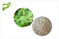 CAS 989 cosmético do extrato do chá verde de 51 5 EGCG classifica o ingrediente do galato de Epigallocatechin