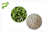 Anti - suplementos dietéticos naturais à cárie, extrato CAS do chá verde do dentífrico EGCG 989 51 5