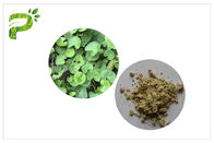 Triterpenes cosméticos naturais de Asiaticoside do extrato da folha do Kola de Gotu da acne dos ingredientes do pó