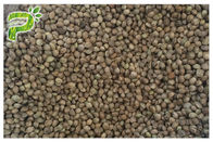 Frio natural da semente de cânhamo do óleo do extrato da planta dos aditivos do alimento natural - orgânico pressionado certificado