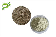 Da proteína natural dos suplementos dietéticos à fonte da planta pó orgânico 50% 60% da proteína do núcleo da semente de cânhamo