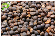 Detergente natural dos Saponins Oleifera naturais do chá do extrato da semente de Abel da camélia do extrato da planta