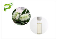 CAS 8008 óleo amigável de Cajeput do óleo da aromaterapia de 98 8 óleos essenciais de Eco com Cajeputol