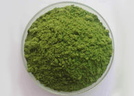 Nenhum vegetal natural do oídio pulveriza 100 o cádmio de Mesh Spinach Extract Powder 1.0ppm