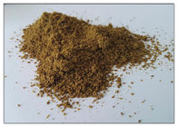 Pó do extrato da semente de aipo do pó do extrato da semente da planta para a gota para o suplemento dietético