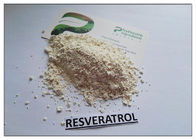 Extrato natural da raiz de Cuspidatum do Polygonum do pó 99% do extrato da planta do Resveratrol do transporte