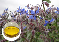 Oxidação orgânica da ômega 6 GLA dos óleos de planta da semente do Borage anti para a eczema
