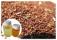 Abaixe o óleo gordo de Biennis do Oenothera do sangue, ácido Linolenic 10% da gama líquida do óleo da prímula de noite