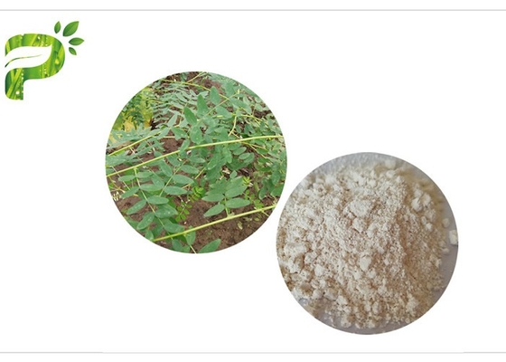 CAS 84687 43 extrato Astragaloside IV 98% de Membranaceus de 4 astrágalos antienvelhecimento