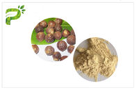 Ingrediente 50%/70% dos Saponins do extrato de Soapnut do formulário do pó para o champô
