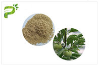 Extrato ácido de Ursolic da planta natural, CAS 77 52 1 pureza alta do pó da folha do caqui