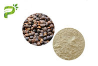 Saponins Oleifera do chá do extrato da semente de Abel da camélia cosmética natural do ingrediente para o emulsivo