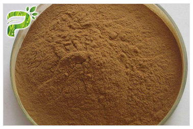 Extracto de raiz de ginseng em pó fino amarelo marrom 20 ((R) - ginsenosida Rh2/Rg3 Anticâncer