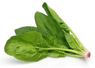 Nenhum vegetal natural do oídio pulveriza 100 o cádmio de Mesh Spinach Extract Powder 1.0ppm