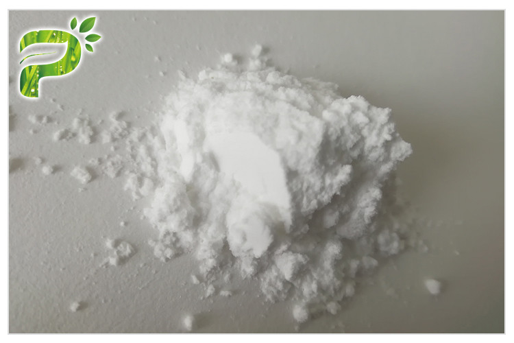 Polyglutamate de sódio PGA em pó para hidratação da pele de longa duração CAS 28829 28 1