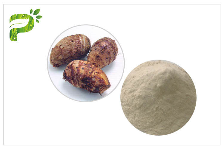Suplementos seguros à saúde dos ingredientes de alimento do pó puro do extrato da planta da raiz de Taro
