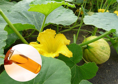 Frio natural do óleo do extrato da planta do produto comestível - proteção pressionada da próstata do óleo da abóbora