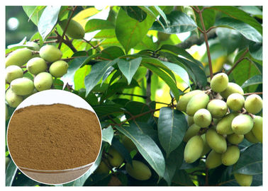 Do extrato verde-oliva natural da folha do Oleuropein ingrediente natural com teste da HPLC