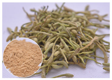 5%, 25% Lonicera japonica Extracto de flor de melancia em pó