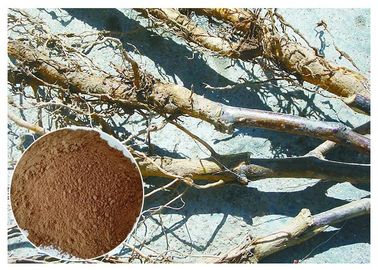 Extratos naturais puros da planta da raiz da árvore de Apple, extração de plantas medicinais CAS 60 82 3