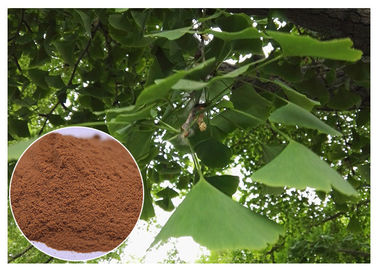 O extrato natural da planta impede a categoria do EP do extrato da folha de Biloba da nogueira-do-Japão das doenças cardiovasculares