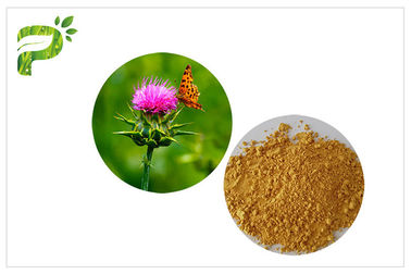 Luz - extrato natural da semente do cardo de leite do ingrediente do pó amarelo do extrato da planta para a medicina do fígado