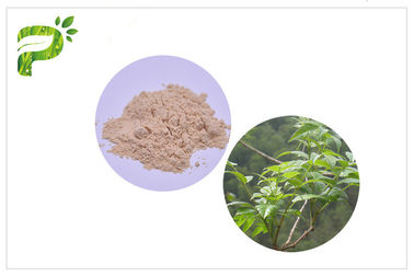 Extrato Dihydromyricetin de Ampelopsis Grossedentata/DHM para síndromes CAS 27200 da manutenção 12 0